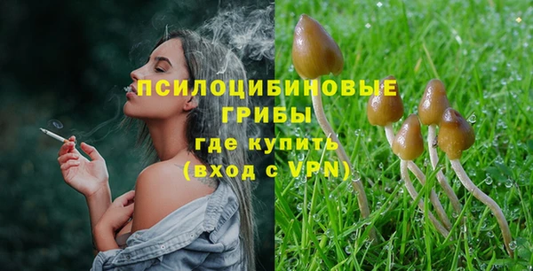 эйфоретик Богородицк