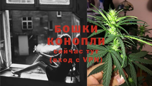 эйфоретик Богородицк