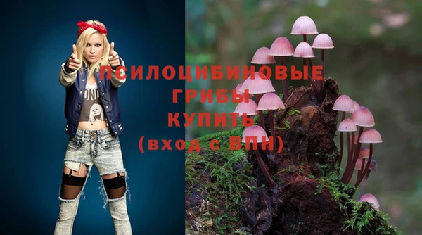 гидропоника Бородино