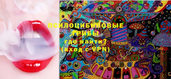 эйфоретик Богородицк
