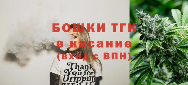 гашик Богородск