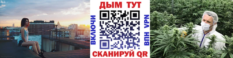 Купить Кушва Марихуана Ganja